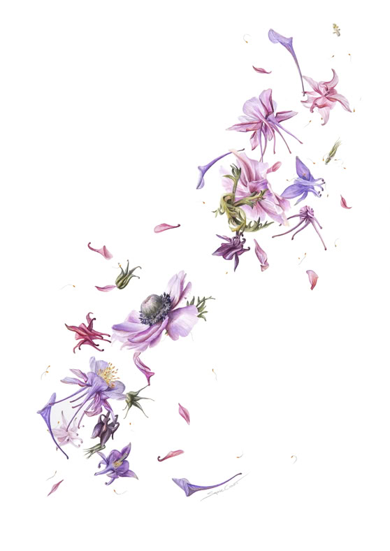 Crushed into the wind, watercolour in paper (640gsm), 57 x 38 cm, 2024. 