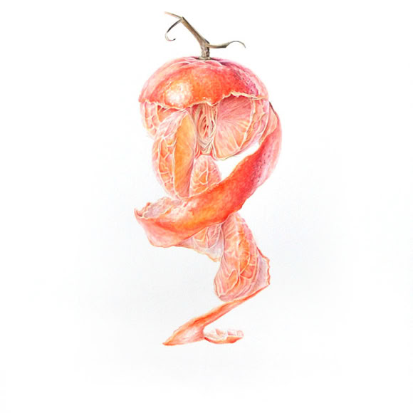 Botanische kunst, botanical art, Sophie Crossart. Clementine