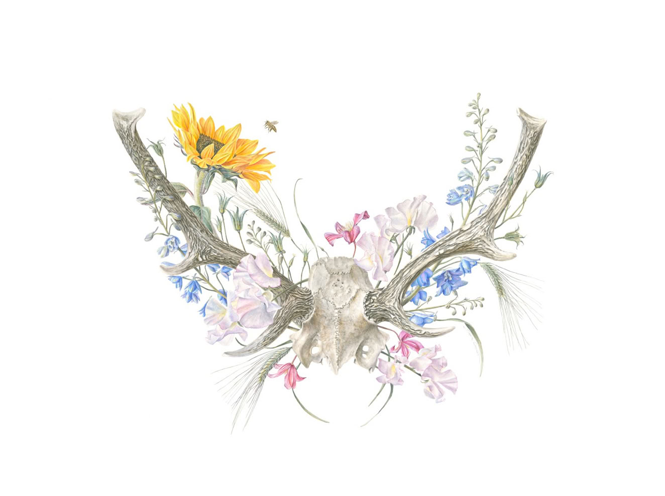 Memento Mori III, 57 x 76 cm, Watercolour on Paper, Sophie Crossart