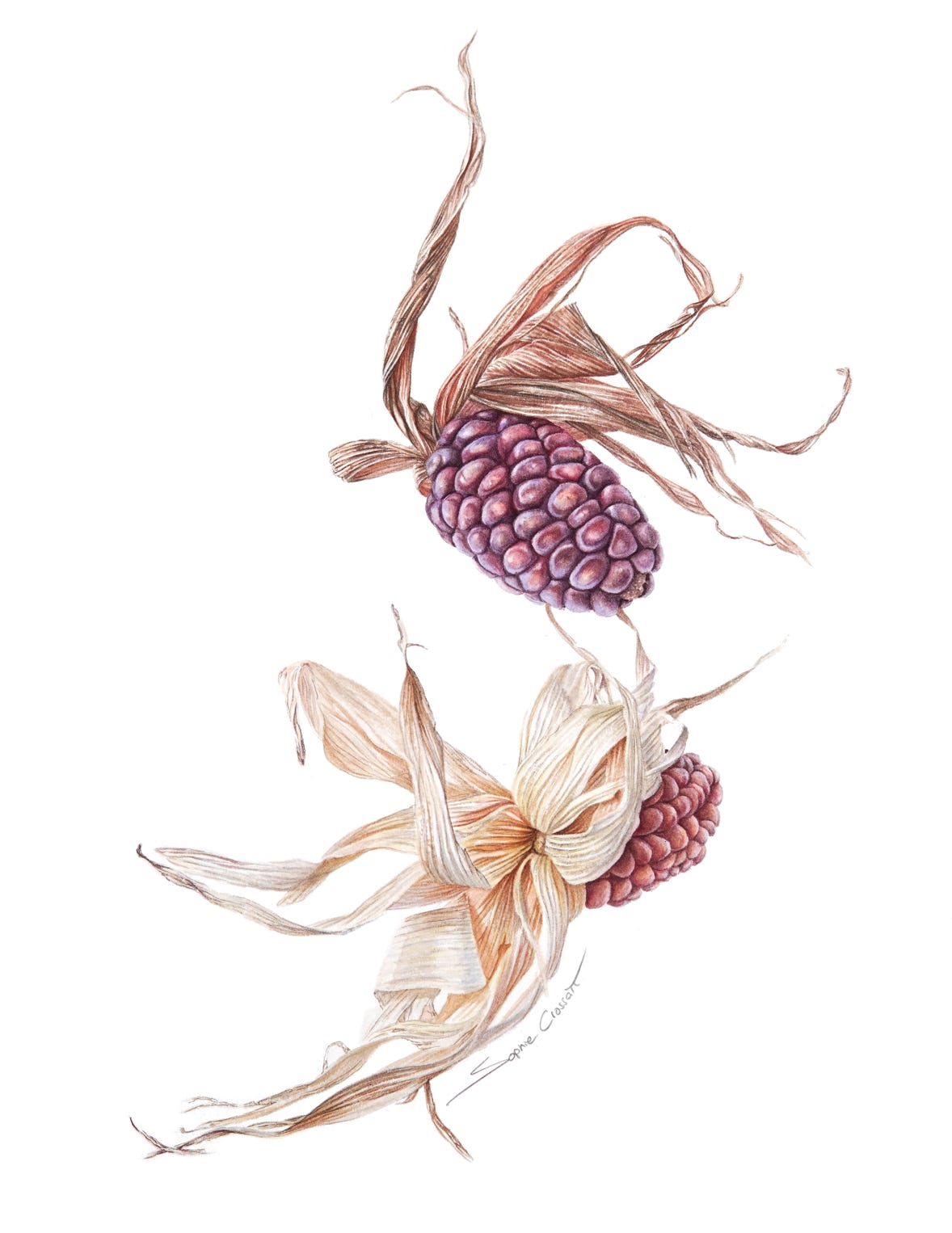 Disgracers (The Fall), watercolour on paper (640gsm), 40 x 28 cm, 2024. 