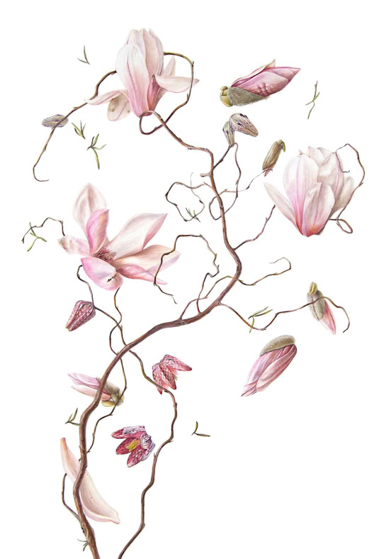 Solitude, Watercolour on Paper, 57 x 45 cm, 2023.