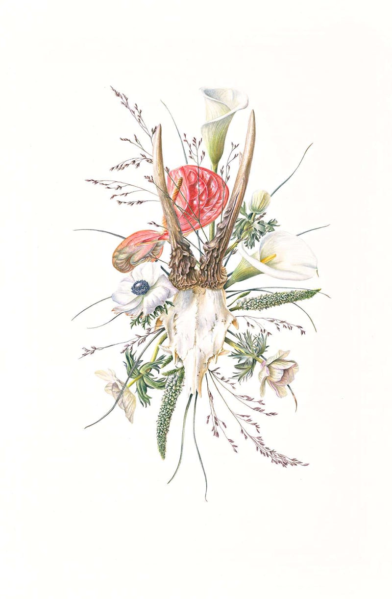Botanical art, botanische kunst, Memento Mori II, 57 x 38 cm, Watercolour on Paper, 2021