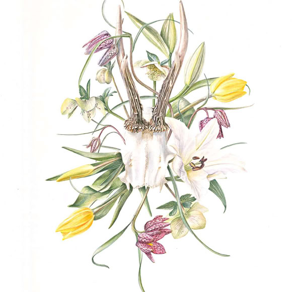 Botanical art, botanische kunst, Memento Mori I, 57 x 38 cm, Watercolour on Paper, 2021.