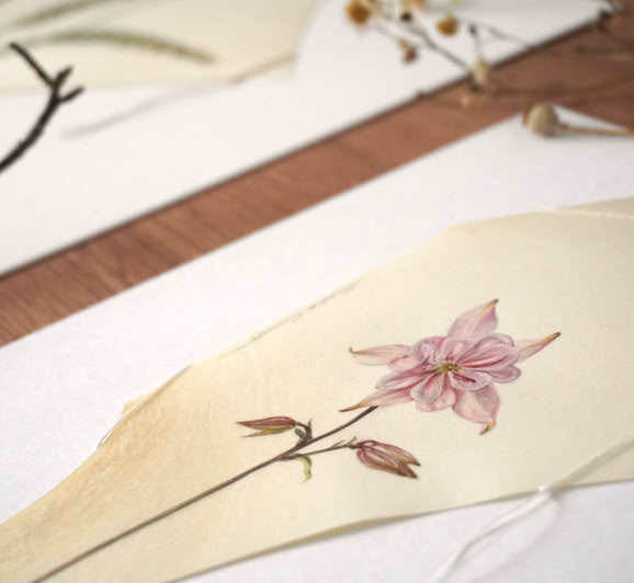 What remains, watercolour on vellum, Sophie Crossart.