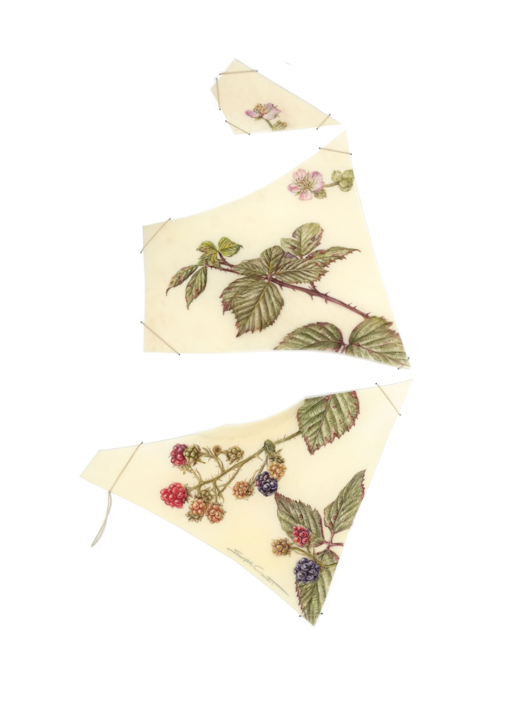 Through thorns to sweetness, watercolour on vellum, linen yarn on museum board, 40 x 30 cm, 2025. 